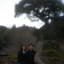 축령산아침 이미지