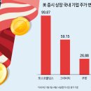 위즈덤 홀딩스
