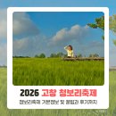 개화농장 | 2026 고창 청보리축제 기본정보 및 유채꽃 개화시기 후기