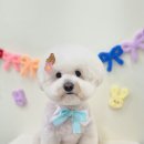 이따봐요 네이버블로그