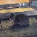 조선치킨 남원점 이미지