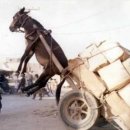 수레와바퀴 이미지