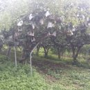 목사동면사무소 이미지