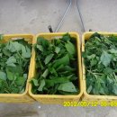 설봉농장 이미지