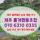 폴개협동조합 | 2020 제주 폴개협동조합 블루베리체험 후기 모음