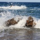 법원중앙외과의원 이미지