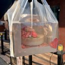 단비플라워떡케익 | 안양 케이크 주문제작 갓진설 앙금플라워떡공방 앙금 플라워 떡케이크 포장 후기