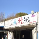 봉골수산