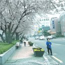 덕진-13 이미지