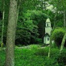 여기,초록 이미지