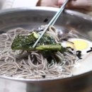 엄마손막국수 이미지