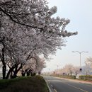 용두교 입구 이미지