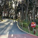 서구-02-10 | [부산/서대신동] 서구 꽃마을 내원정사템플스테이 체험형 찐후기!!