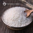 믿음 제1농장 | 자취생 쌀 2kg 추천 소화농장 햅쌀 후기, 밥맛 좋은 백미
