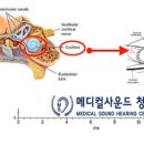 이음메디칼 네이버블로그