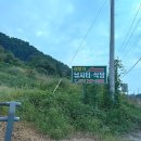 원주 놀거리 추천! 경치좋은 붕어낚시터 (이무기낚시터)
