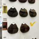 새봄 | 순천미용실 모모제인헤어 새봄쌤 염색 후기