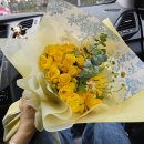 미스봄 | 봄기운 가득한 남양주 금곡동 감성 꽃집 미스플라워 솔직 방문기