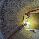 중앙동로 이미지