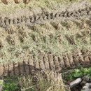 신정정미소 이미지