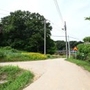 삼웅2리마을회관 이미지