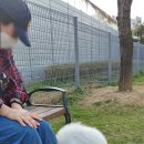 쿵이네 펫세상 이미지