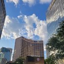 최강부동산공인중개사사무소 이미지