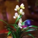 광주시민체육관 이미지