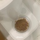 예진약국 | 뿌리동물병원 발치 후 약 2주간의 회복기 (feat. 고양이 음수량 변화, 고양이 설사, 동물약국 이용하기)