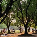 GS25 성수포레점 이미지