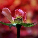 우리꽃자리 이미지