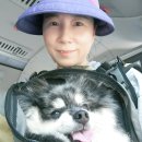 MBS한의원 이미지