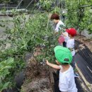 비봉농원 이미지