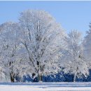 해피위너스 이미지