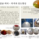 사과 고두병(苦痘病) 병증과 치료법... 2차비대, 착색기 인산칼슘 살포 및 관주 이미지