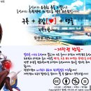 별이네쇼핑 - 618004 | 별이네쇼핑