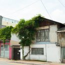 맘스터치자인점 네이버블로그