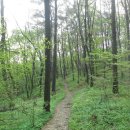 정자역(마을) 이미지