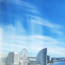 도쿄몰(통신판매업) | 보러 5박 6일 일본 다녀온 후기 3일차 1편. (요코하마에서 도쿄가기 / 도쿄 토미오카 하치만궁 / 우에노...