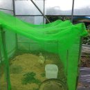 태평농장 이미지