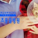 동부산동물병원 네이버블로그