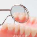 덴탈기획 이미지