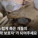 태운축산 이미지