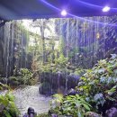 클라우드펜션민박 이미지