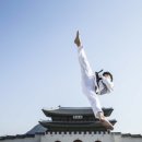 대성태권도 자이점 이미지