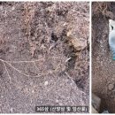 365농장 이미지