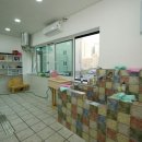 도그홀릭 이미지