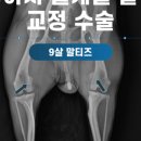 동물병원예지 이미지