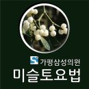 가평삼성의원 이미지