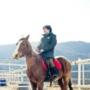 비슬 승마체험장 이미지